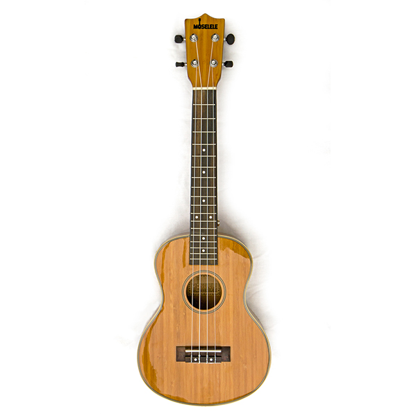 Ukuleles in Schools